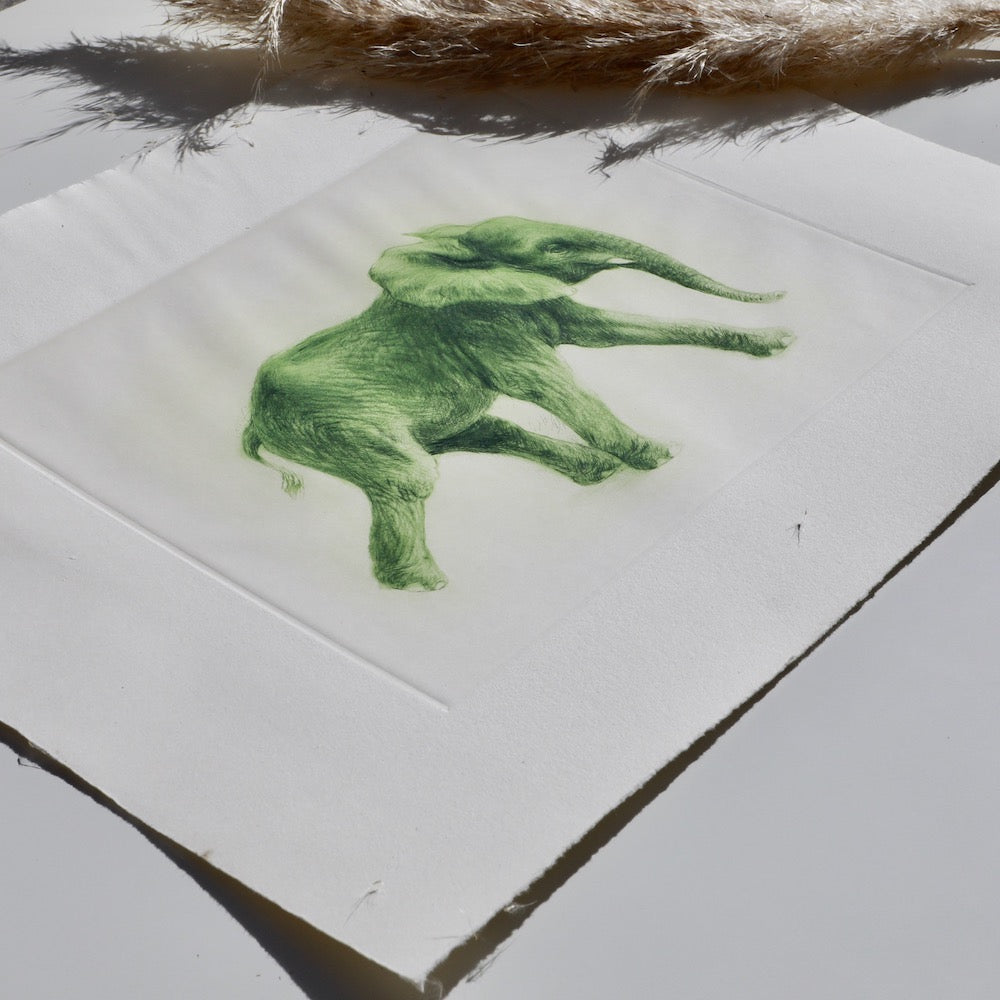 ELEPHANT PRINT GRÜN